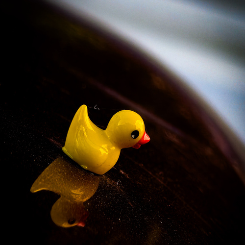 Small yellow