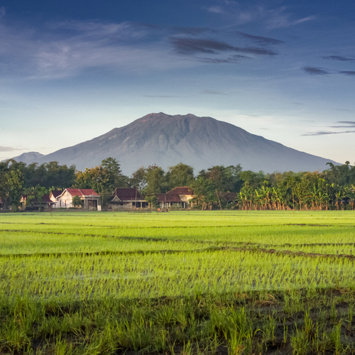 Landscape of nature