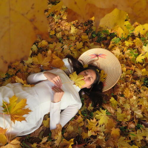 Autumn in Ao Dai