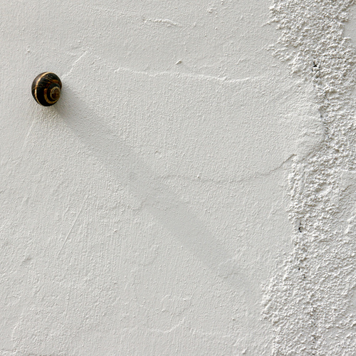 Photo #13821015