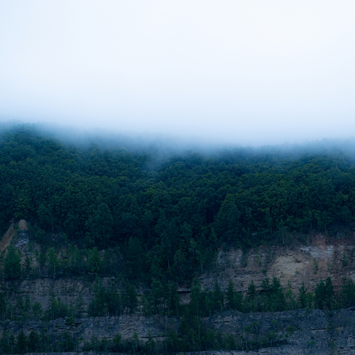 Photo #13821164