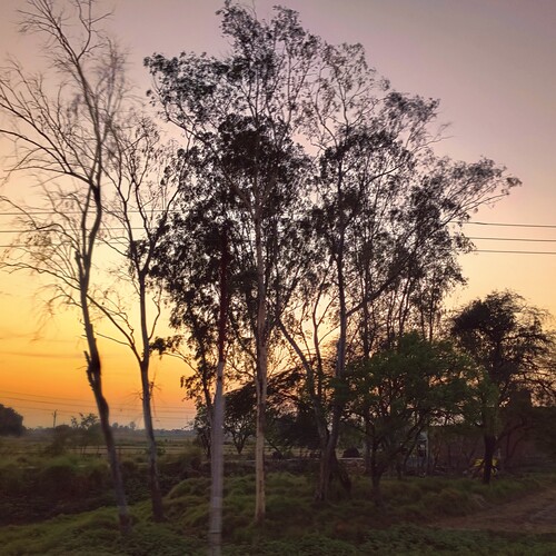 Photo #13821477