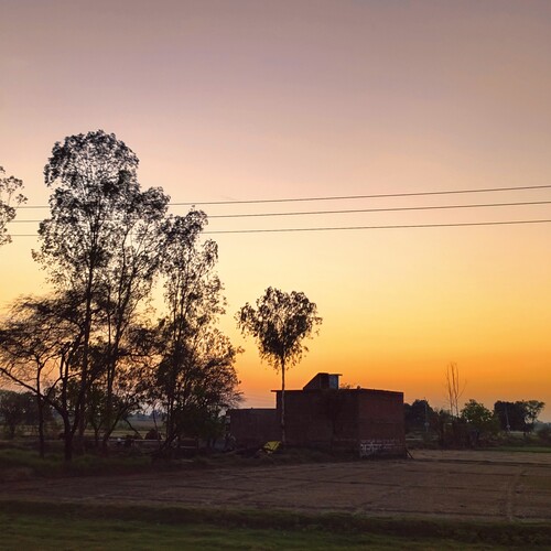 Photo #13821478