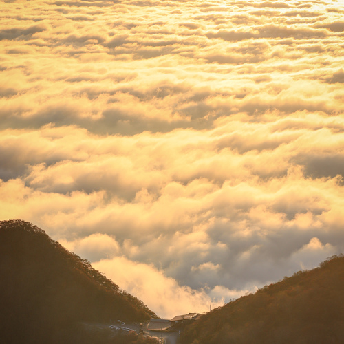 Photo #13821502
