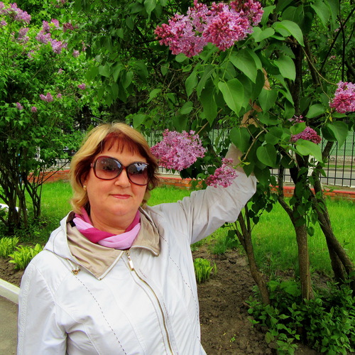 Photo #13821570