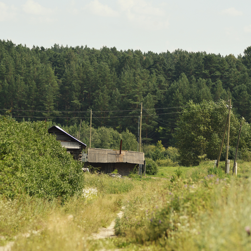 Photo #13821612
