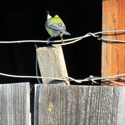 Photo #13821633
