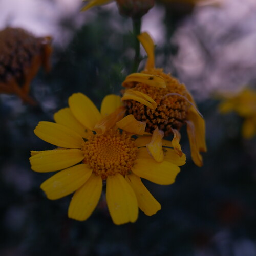Photo #13821723