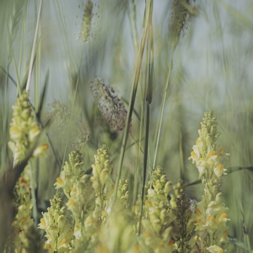 Photo #13822009