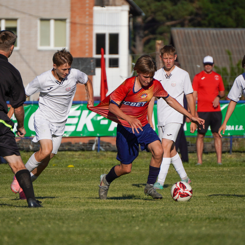 Photo #13822023