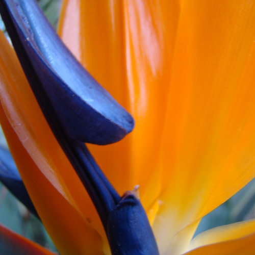 Photo #13822069