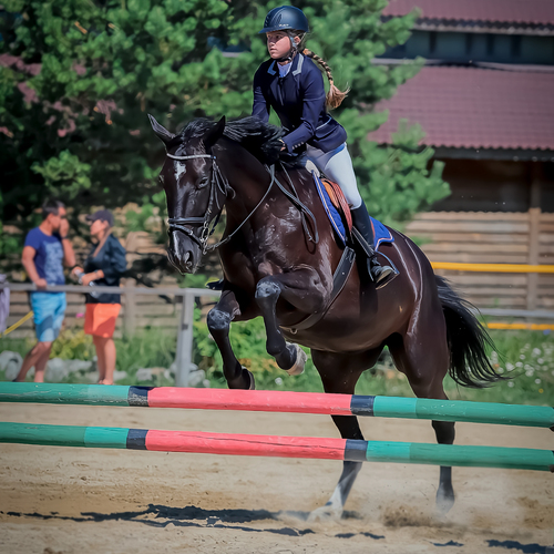 Photo #13822095