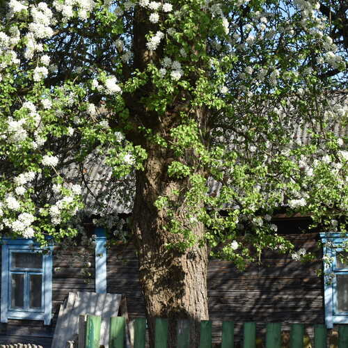 Photo #13822168