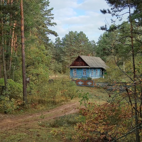 Photo #13822169