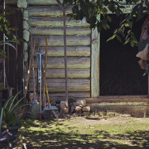 Photo #13822280