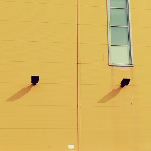 Photo #13822358