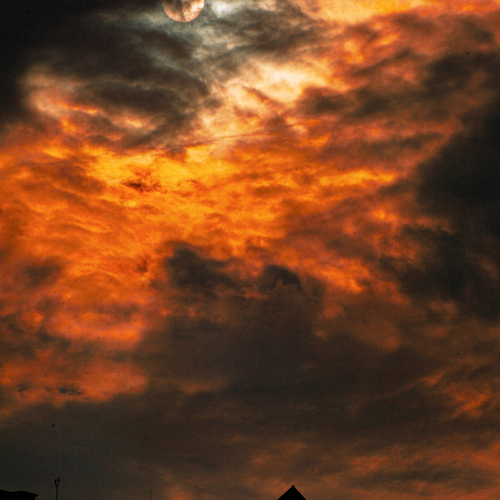 Photo #13822417