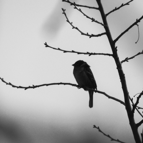 Photo #13822429