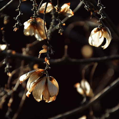 Photo #13822464