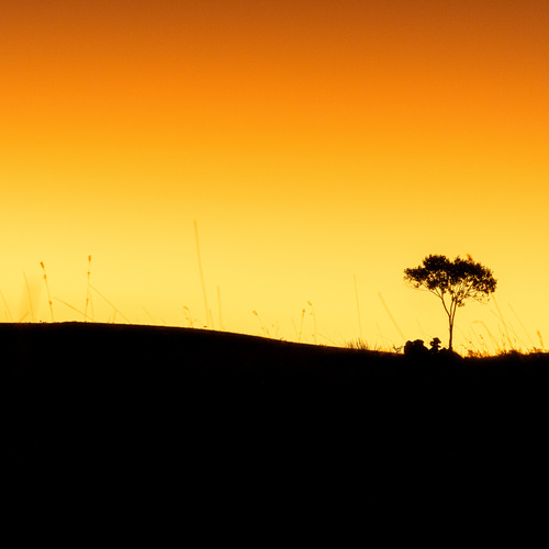 O perfil no por do sol