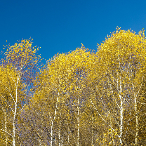 Photo #13822774