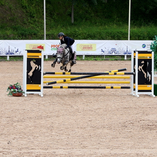 Photo #13822803