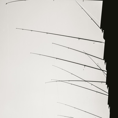Photo #13823112