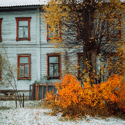 Photo #13823152