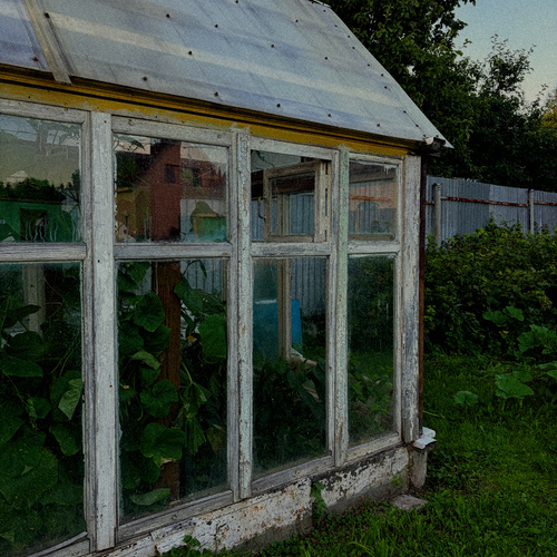 Photo #13823170
