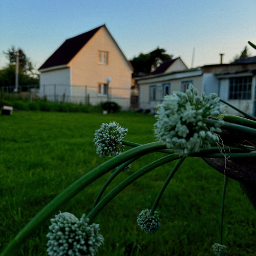 Photo #13823171