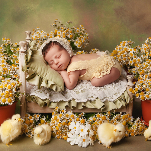 Photo #13823200