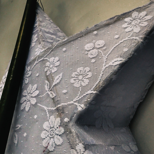 Photo #13823205