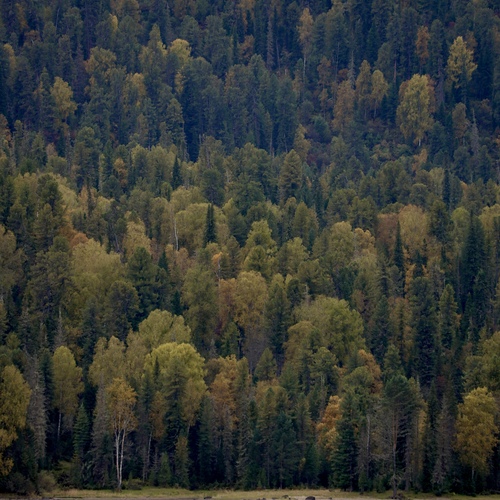 Photo #13823414