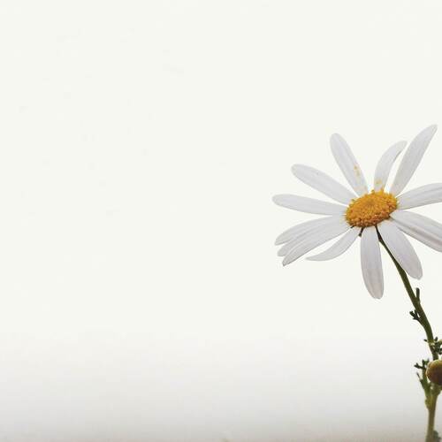 Photo #13823415