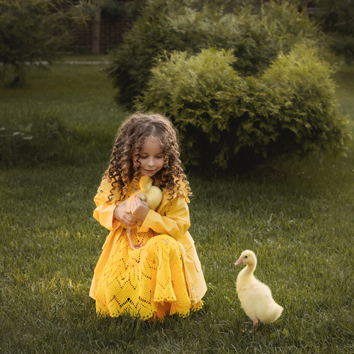 Photo #13823426