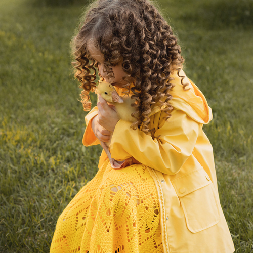 Photo #13823428