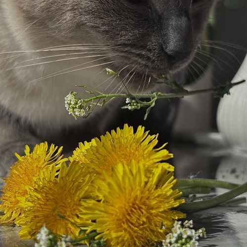 Photo #13823549