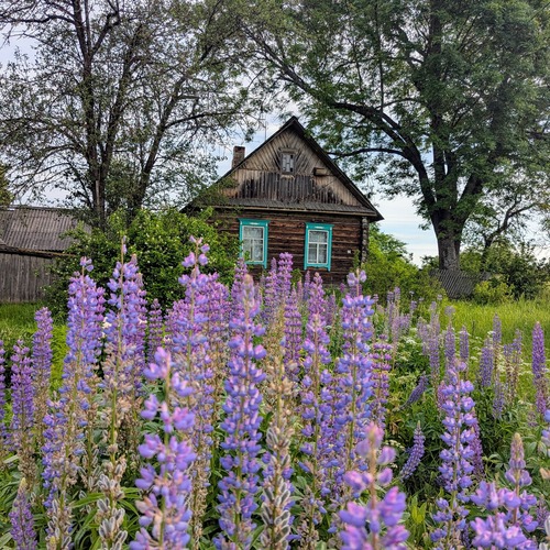 Photo #13823573