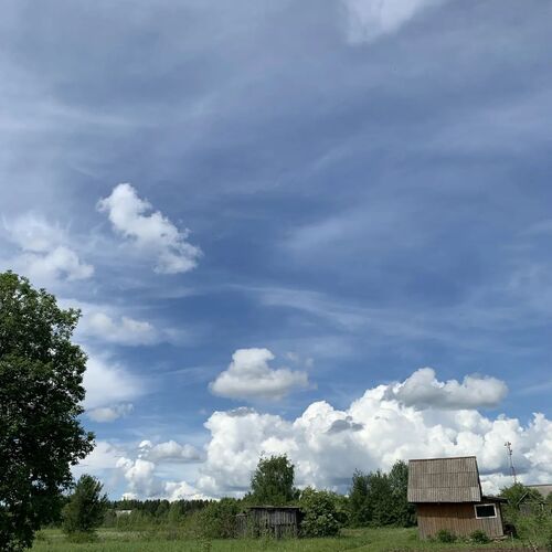 Photo #13823814