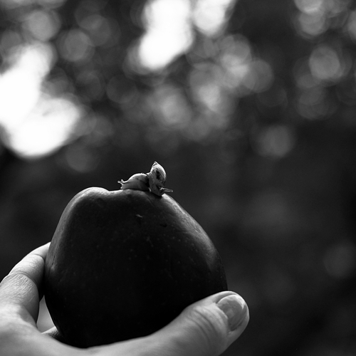 Photo #13823879