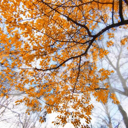 Photo #13823926