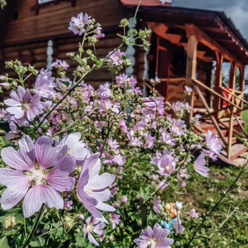 Фотография #13823927