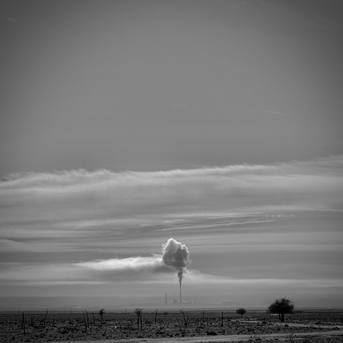 Photo #13823975