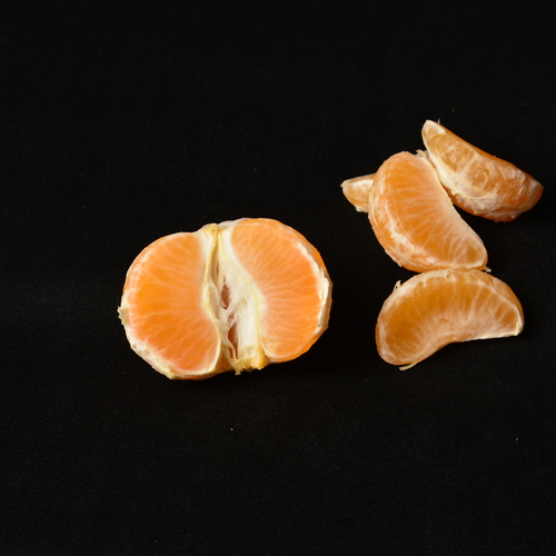 Photo #13824092