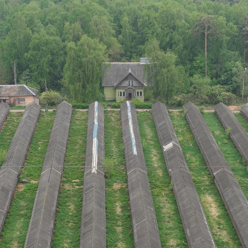 Photo #13824180
