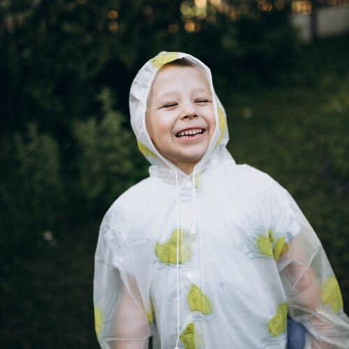 Photo #13824298