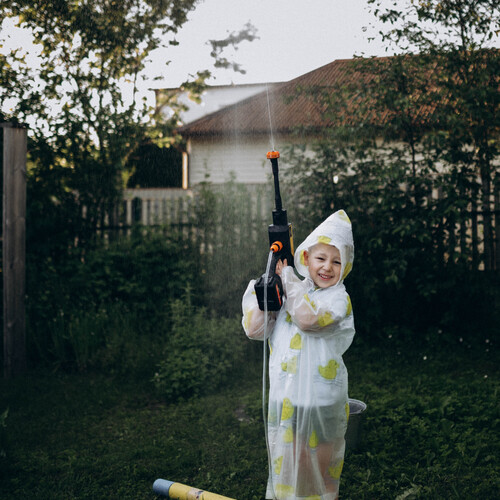 Photo #13824316