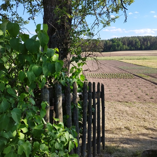 Photo #13824418