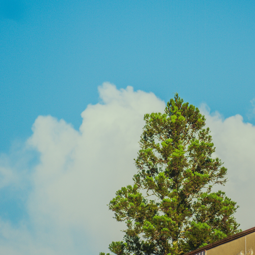 Photo #13824613