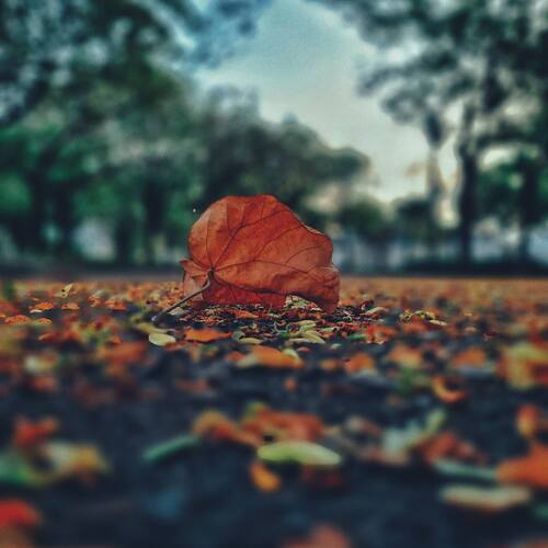 Photo #13824723